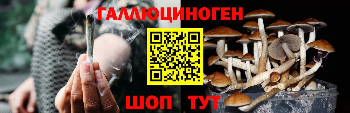 Псилоцибиновые грибы Cubensis  Вход с VPN  Галлюциногенные грибы ЛСД  Зеленогорск 